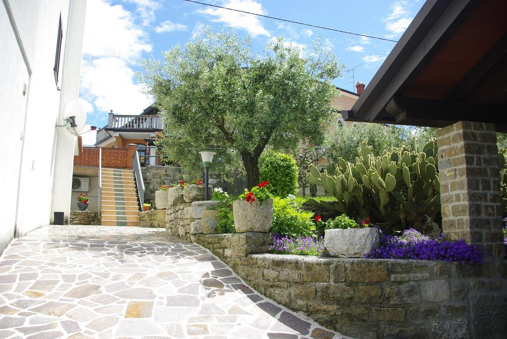 Guest House Nena Motovun Luaran gambar